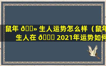 鼠年 🌻 生人运势怎么样（鼠年生人在 🐎 2021年运势如何）